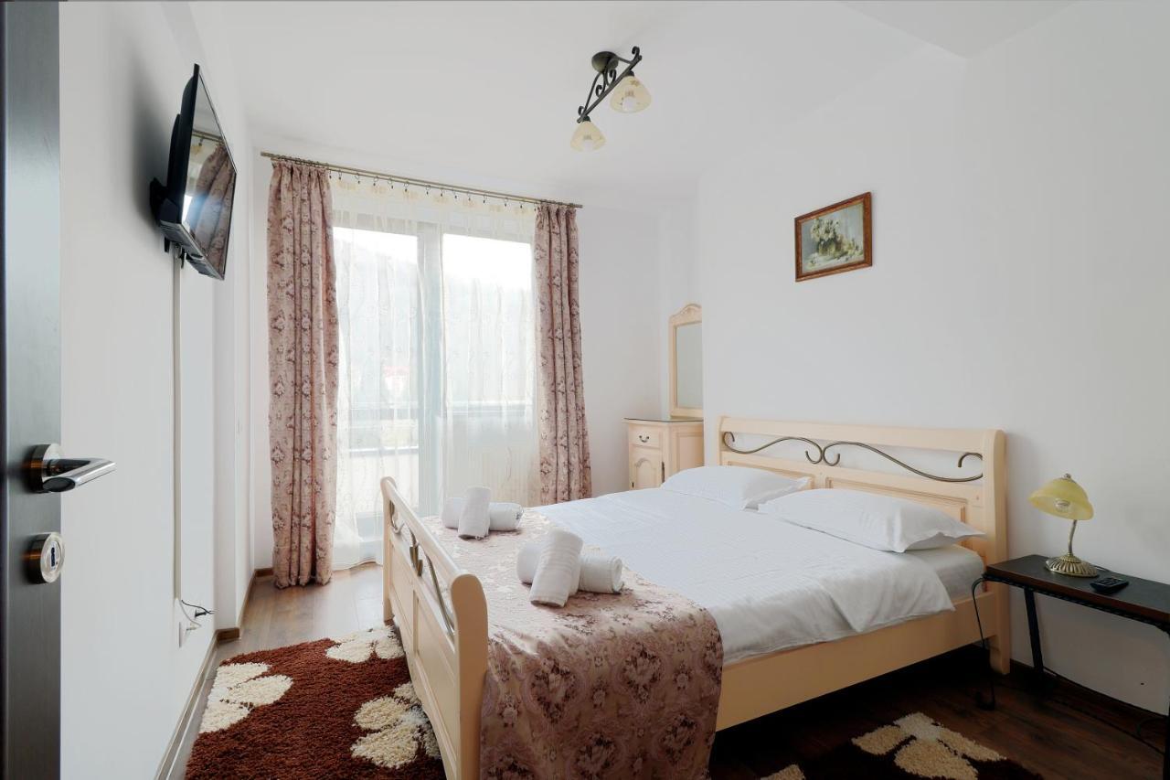 Sofia Apartment Sinaia Esterno foto